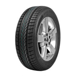 225/50R17 98V XL FR WINTERSTAR 4 POINTS - nov pneu osobn, zimn dezn, doprodej, DOT 2021